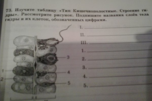 Что такое кракен маркетплейс
